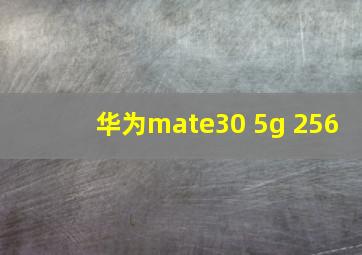 华为mate30 5g 256